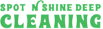 spot n shine deep cleaning dubai logo