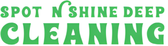 spot n shine deep cleaning dubai logo
