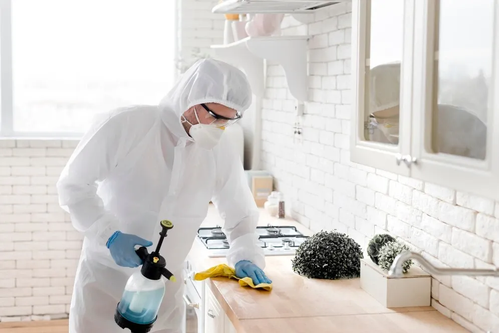 professional kitchen and bathroom deep sanitization in dubai